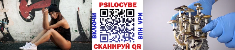Псилоцибиновые грибы MAGIC MUSHROOMS  Петровск-Забайкальский 